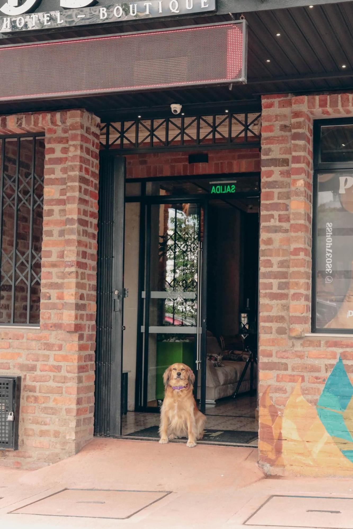 Bunde Haus Hotel Express Boutique Ibagué エクステリア 写真